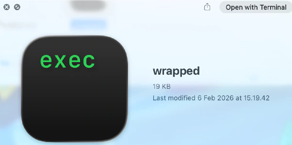 Article screenshot: Wrapped 1